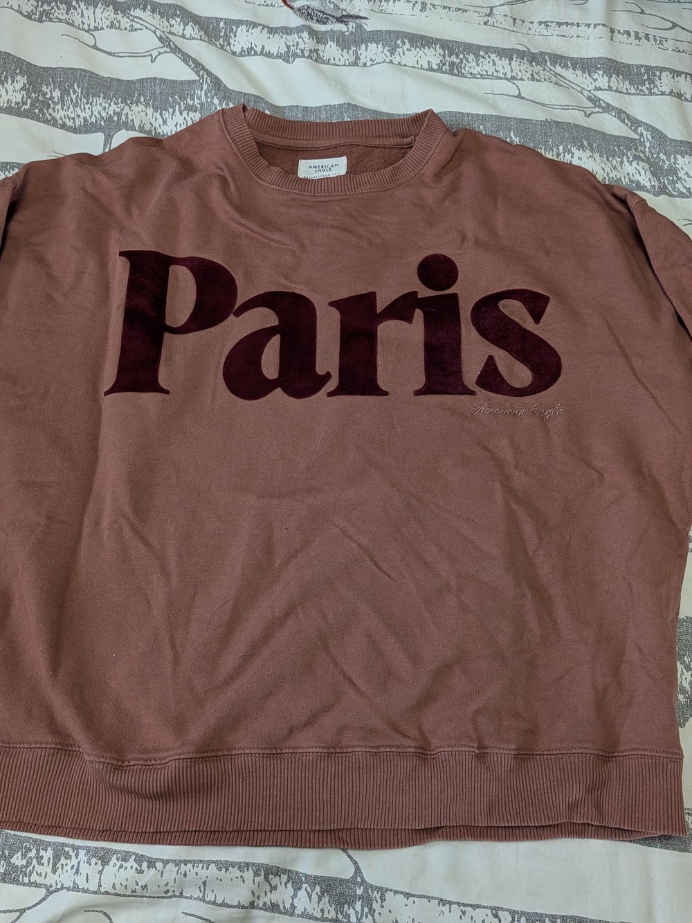 American Eagle Outfitters Mauve Crewneck with Burgundy 'Paris' Print